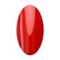 Red 4 NAP LAC Red 4 NAP LAC