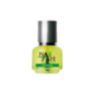 Green Tea Spa Green Tea Spa