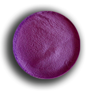 Uva