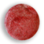 Rojo Shimmer Rojo Shimmer