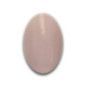 Polvo Acrílico Cover Nude Maquillaje Claro