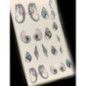 Caballitos De Mar Con Brillantes Caballitos De Mar Con Brillantes