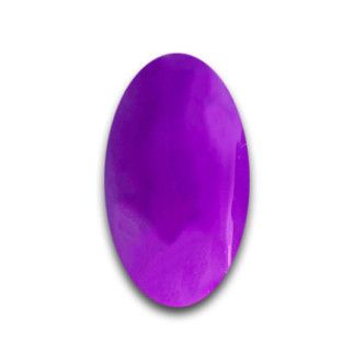 Violet Orchid