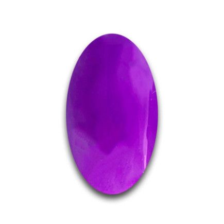 Violet Orchid